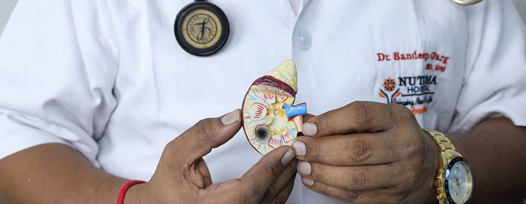 Best Nephrologist Doctor in Meerut