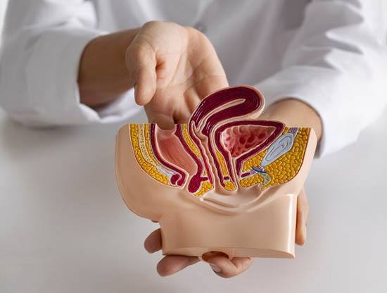 Prostate Treatment and Surgery