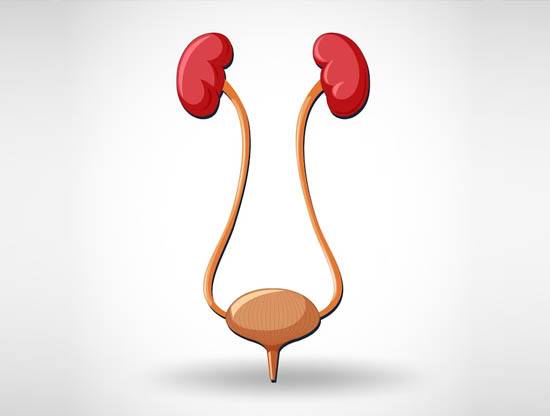 Ureter Stone Removal Surgery